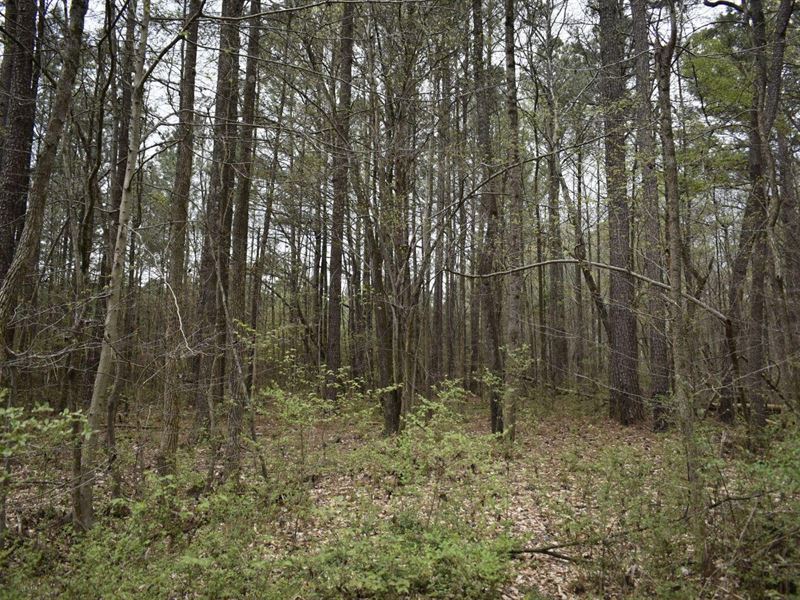 Escape to The Country : La Fayette : Walker County : Georgia