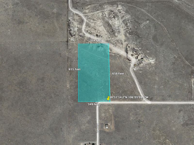 Financing Available, Farm for Sale by Owner in New Mexico, 346971
