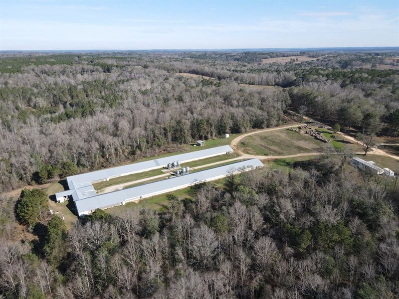New Price-Piney Woods Breeder Farm : Brundidge : Pike County : Alabama