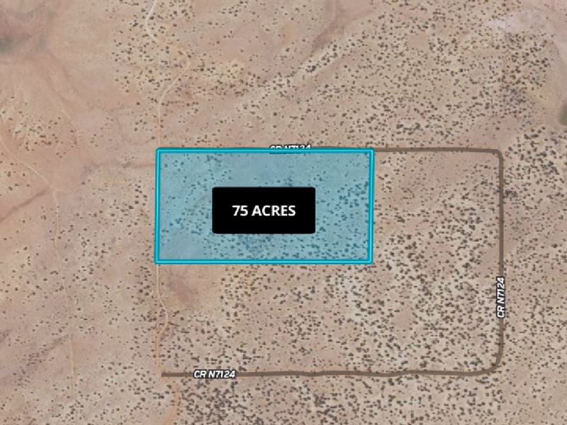 75 Acres in St Johns, AZ, Farm for Sale by Owner in Arizona, 347069