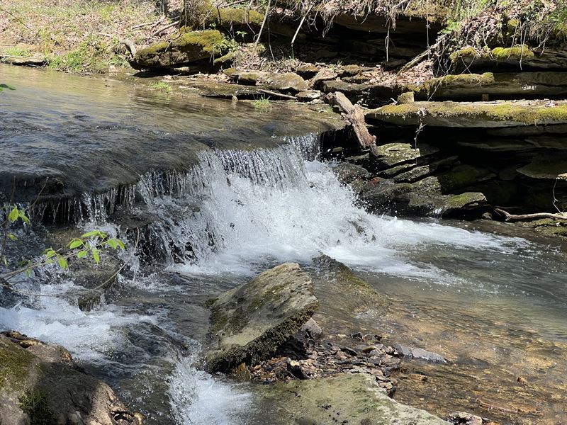 Property with Ponds, Creek, Farm for Sale in Tennessee