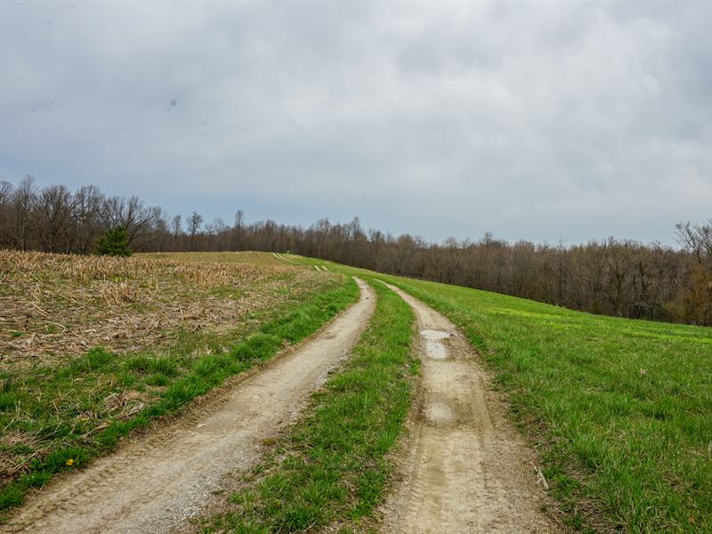 Stoneburner Rd 28 : Crooksville : Morgan County : Ohio