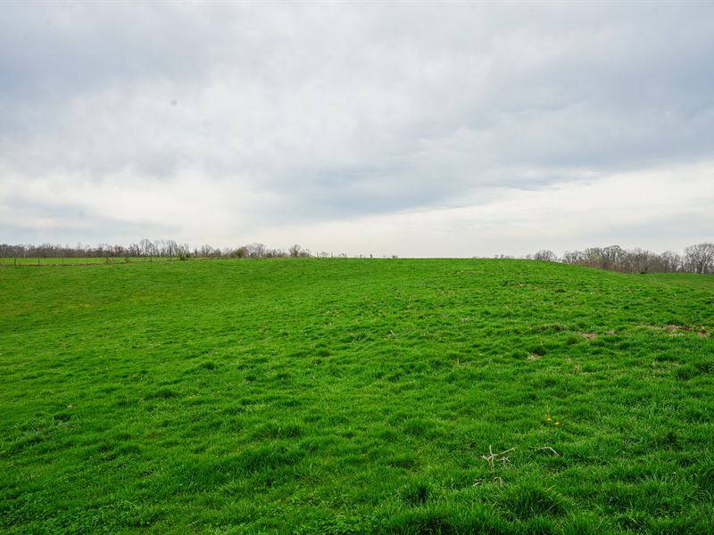 In The Heart of Big Buck Country : Crooksville : Morgan County : Ohio