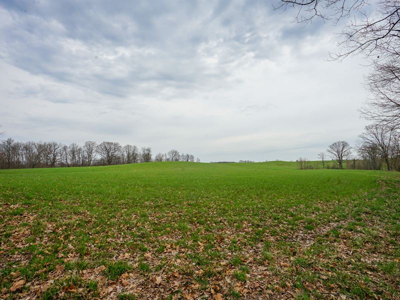 Stoneburner Rd 56 : Crooksville : Morgan County : Ohio