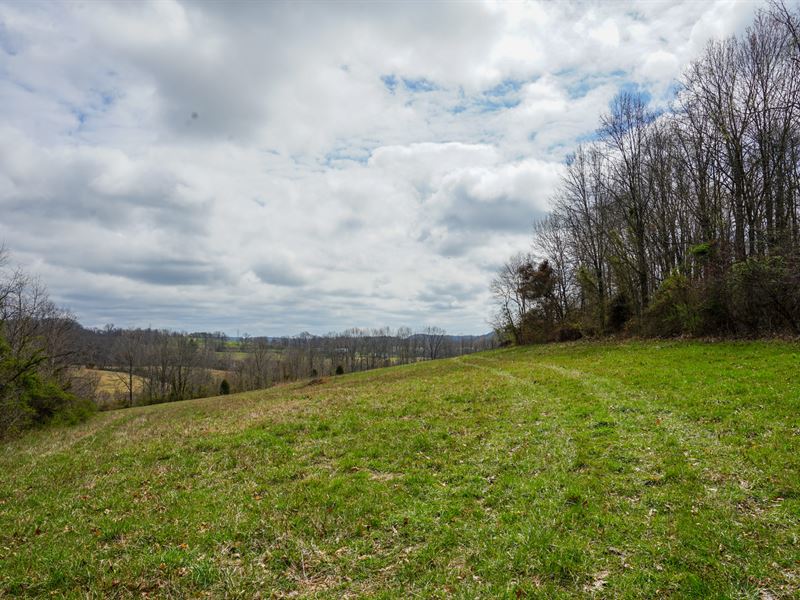 Pleasant Valley Rd 40 Ac, Lot 3 : Vinton : Gallia County : Ohio