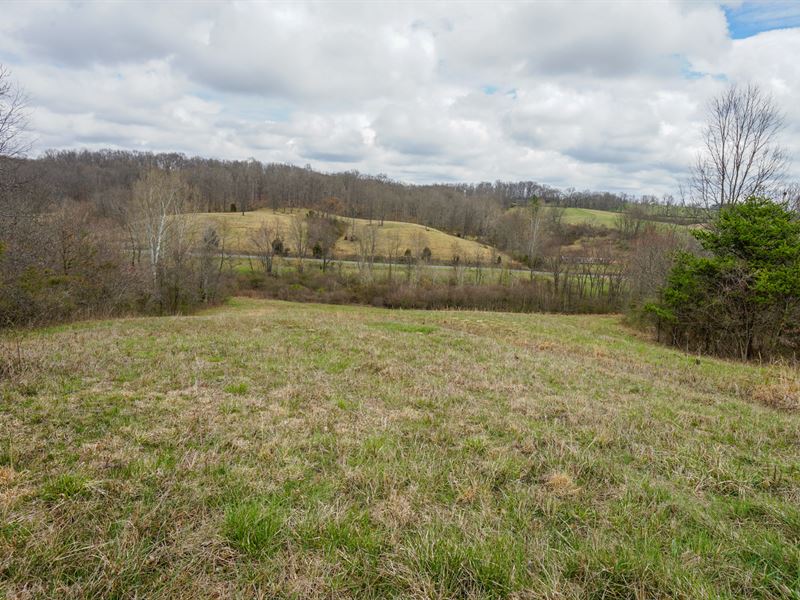 St Rt 325 10 Ac, Lot 5 : Vinton : Gallia County : Ohio
