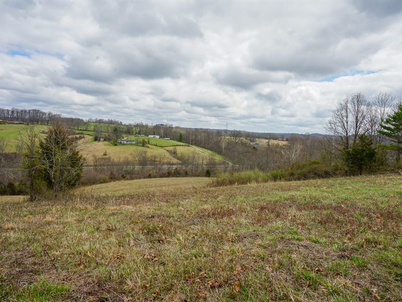 St Rt 325 24 Ac, Lot 7 : Vinton : Gallia County : Ohio
