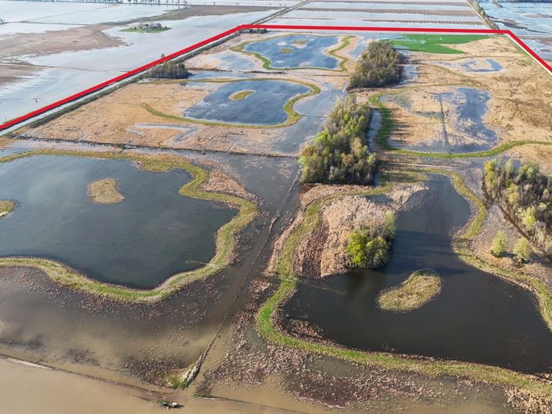 300 Acres Hunting Ground in New Mad : Matthews : New Madrid County : Missouri