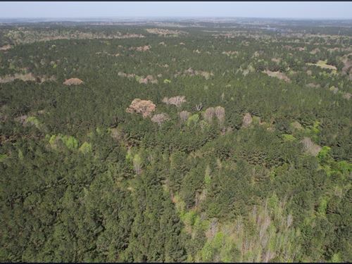 80 Acres in Attala County in Kosciu : Kosciusko : Attala County : Mississippi