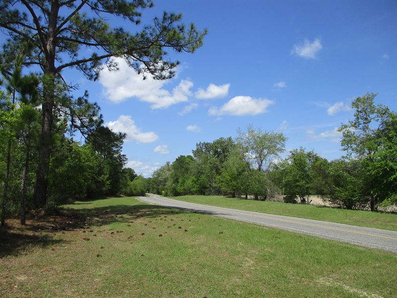 Treutlen County Land Auction, Farm Auction in 347261 FARMFLIP