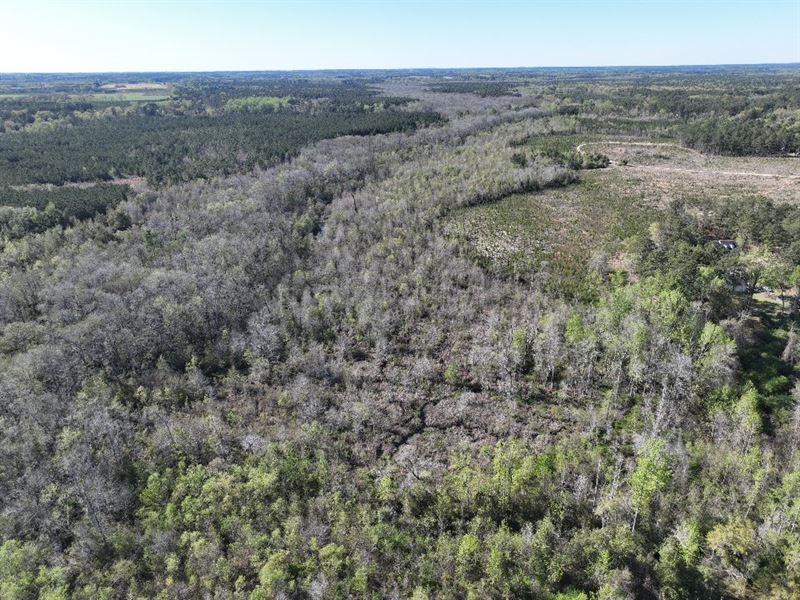 23 Acres in Scotland County, NC : Laurinburg : Scotland County : North Carolina