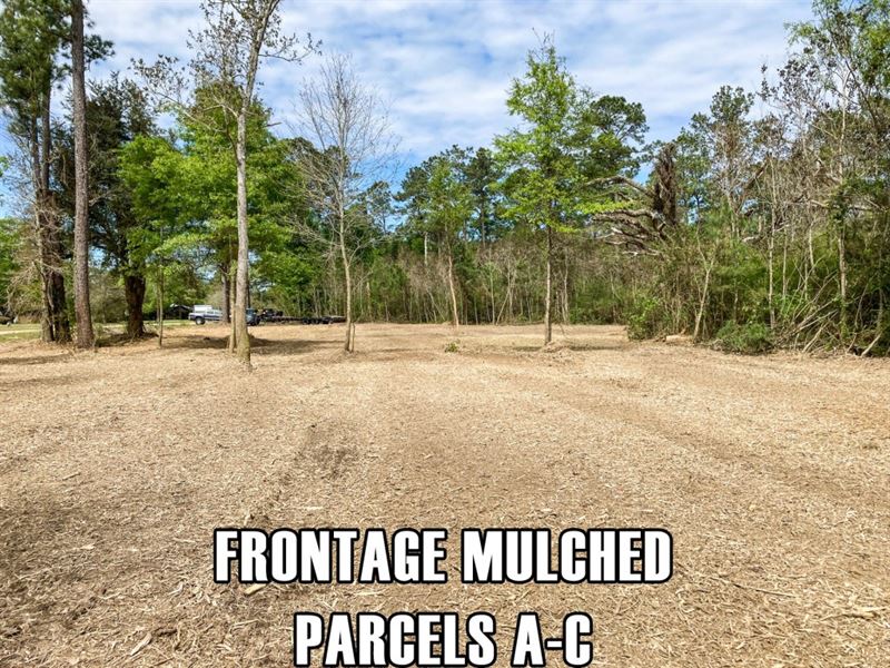 7 Acres in LA with Owner Finance : Hammond : Tangipahoa Parish : Louisiana