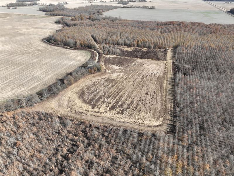 Little Texas, Farm for Sale in Mississippi, 347325 FARMFLIP