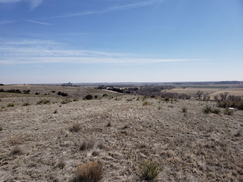 Albert's Culbertson Grass, Farm for Sale in Nebraska, 347425 FARMFLIP