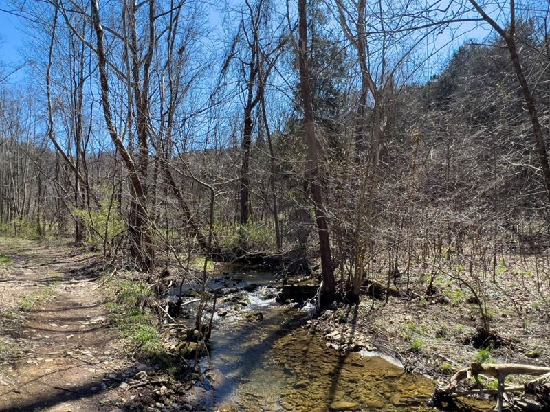 30 Acres with Two Near Creeks, Farm for Sale by Owner in Virginia