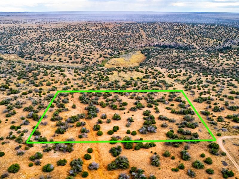Prime Acreage, Heber, AZ : Herber : Navajo County : Arizona