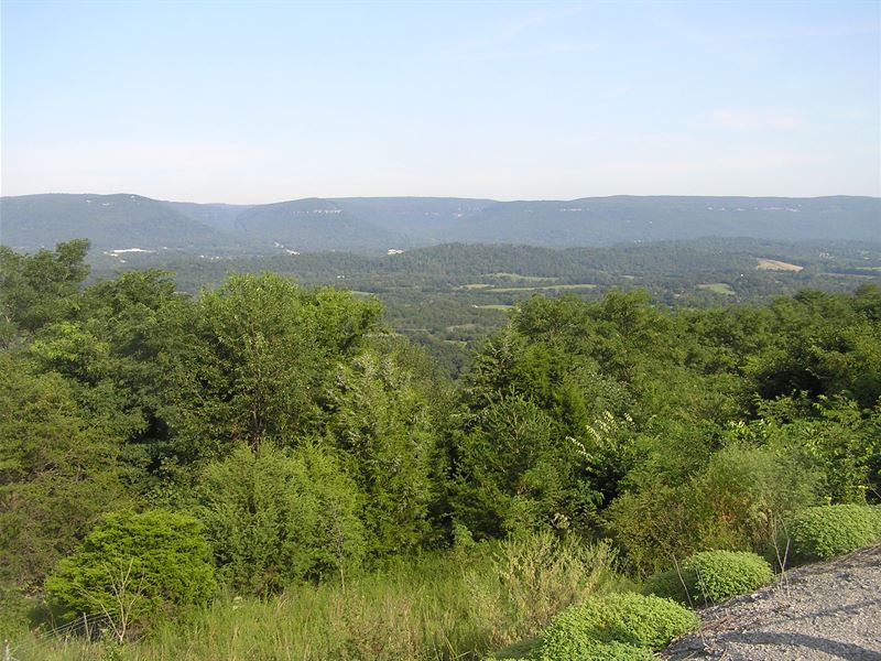 Mountain Land, Views, Rd Frontage, Farm for Sale in Tennessee, 347482