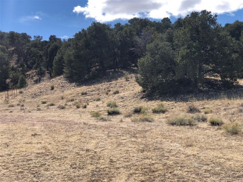 18 Cl&G Unit Bb, Gardner, Co 81 : Gardner : Huerfano County : Colorado