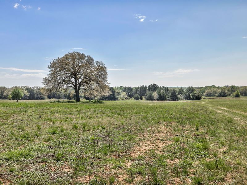 Pennridge Ranch South : Paige : Bastrop County : Texas