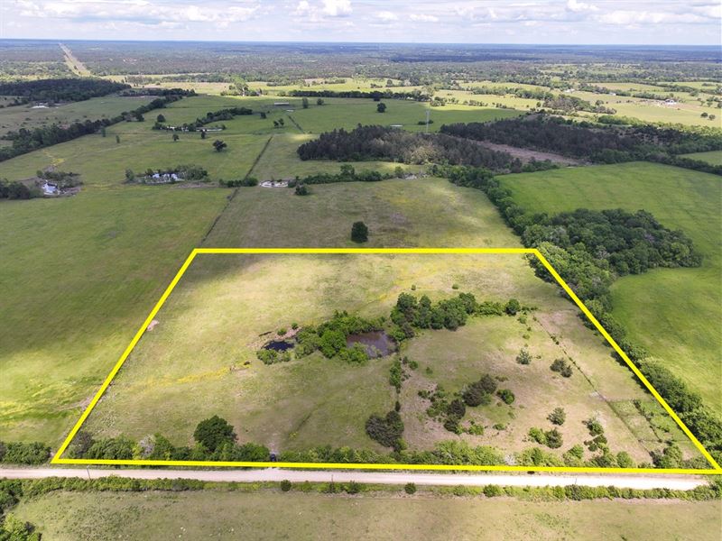 12 Acres, T-2 County Road 3555 : Lovelady : Houston County : Texas