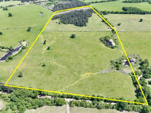 42 Acres, T-4 County Road 3625 : Lovelady : Houston County : Texas