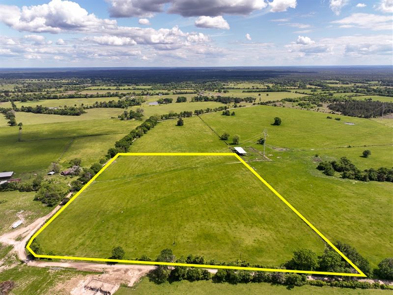 13 Acres, T-8A County Road 3625 : Lovelady : Houston County : Texas