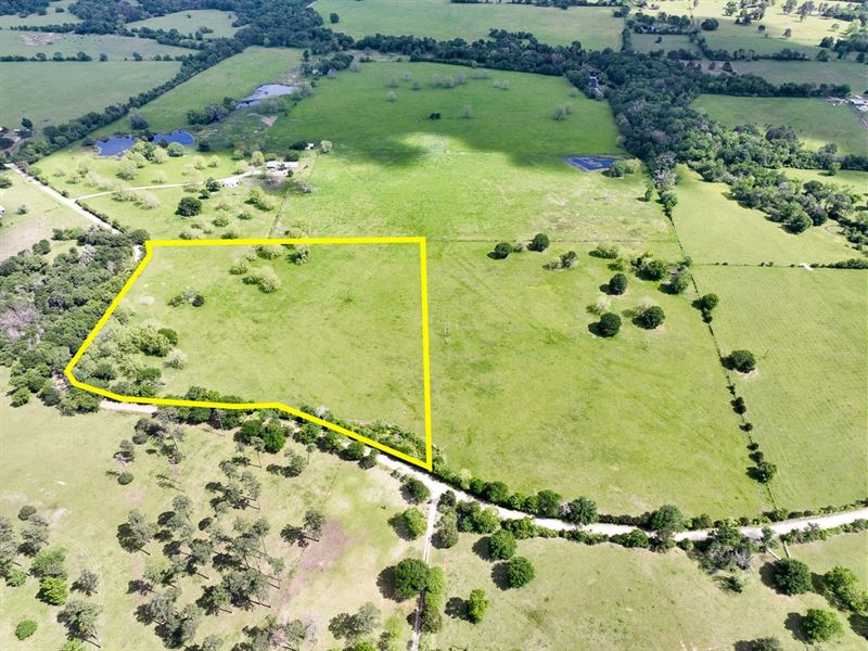13 Acres, T-13B County Road 3620 : Lovelady : Houston County : Texas