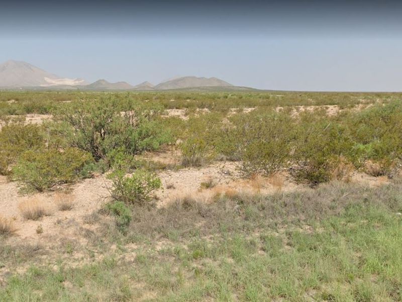 Escape to 20 Ac in Hudspeth County : Sierra Blanca : Hudspeth County : Texas