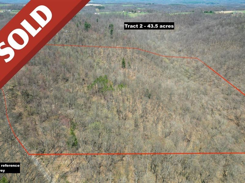 Twp Hwy 406 Tract 2, 43 Acres, Je : Hammondsville : Jefferson County : Ohio