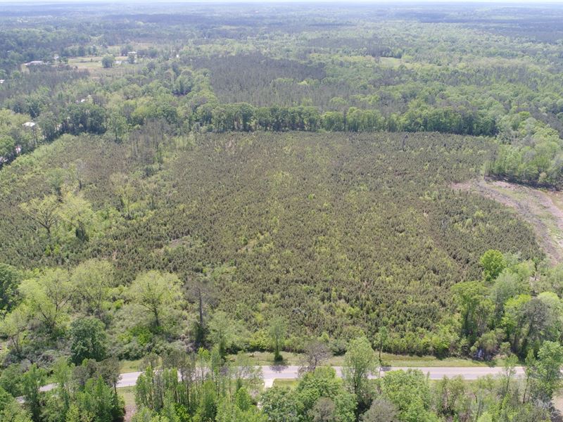 50 Acres Butler County : Greenville : Butler County : Alabama