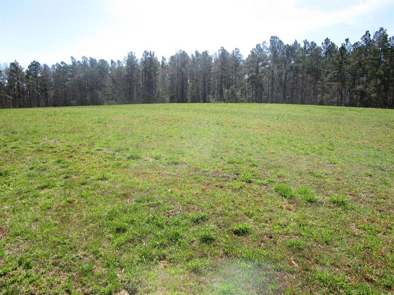 Wildlife Haven in Southern VA : Burkeville : Nottoway County : Virginia