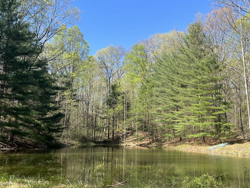 Retreat Getaway, Pond, Horse Area, Farm for Sale in Ohio, 347714