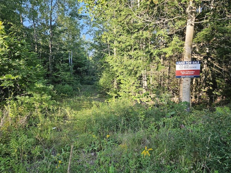 Eddington 0 Stoney Ridge Rd 69.76 : Eddington : Penobscot County : Maine