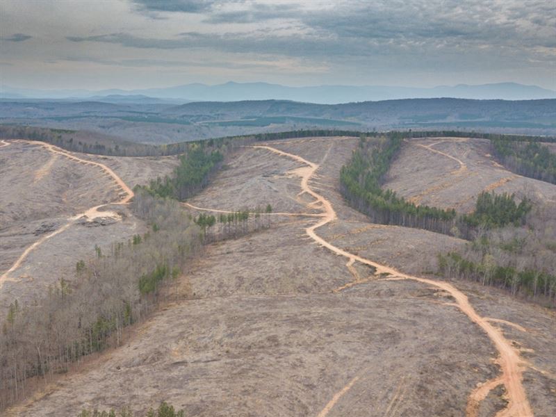 Hannabass Timberland, Nelson County : Amherst : Nelson County : Virginia