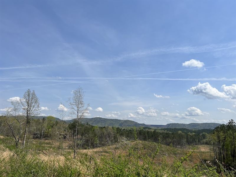 Carters Lake Tract : Chatsworth : Murray County : Georgia