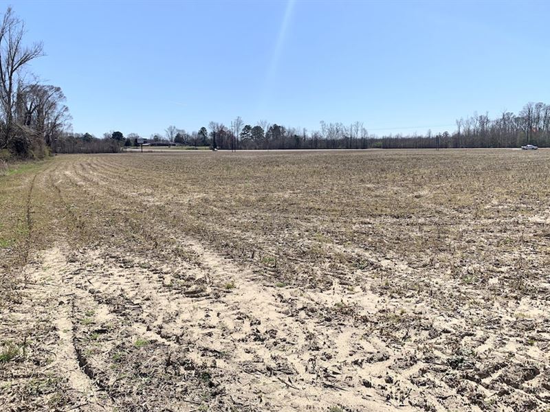 Sweet Water Creek Property : Williamston : Martin County : North Carolina