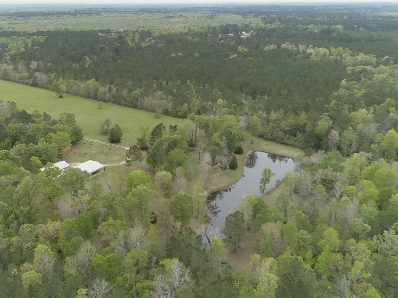 53.54 Acres in Cleveland, Texas : Cleveland : Liberty County : Texas