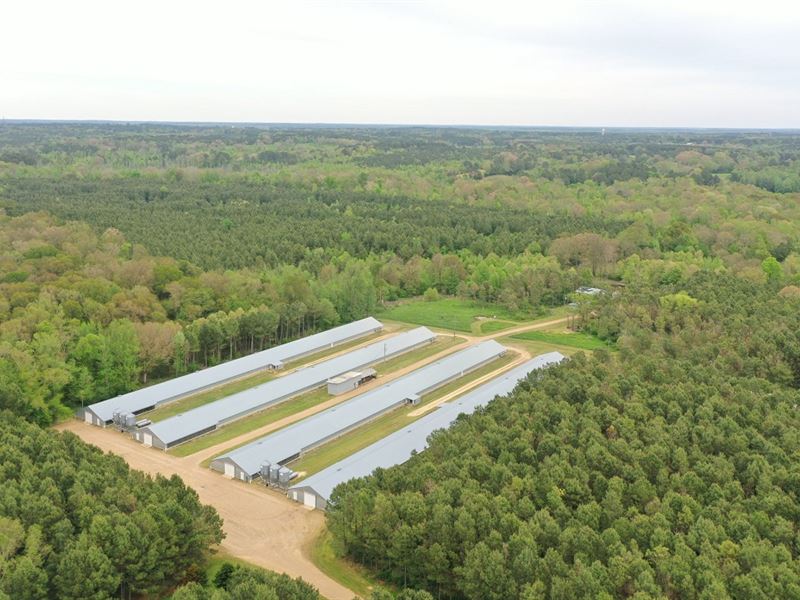 Foggy Hollow Broiler Farm : Noxapater : Winston County : Mississippi