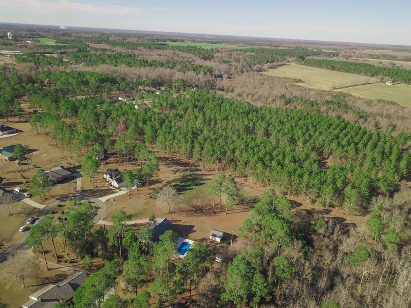 47 Acres in Worth County, GA, Farm Auction in 347807 FARMFLIP