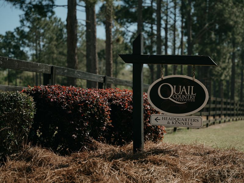 Quail Country Plantation, Farm Auction in 347809 FARMFLIP
