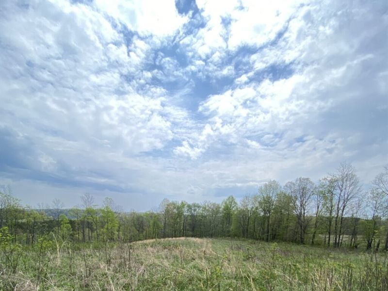 Off Grid Land, Open Fields, Woods : Annville : Jackson County : Kentucky