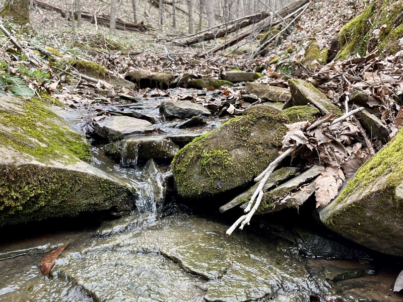 Ohio Hunting Land and More, Farm for Sale in Ohio, 347933 FARMFLIP