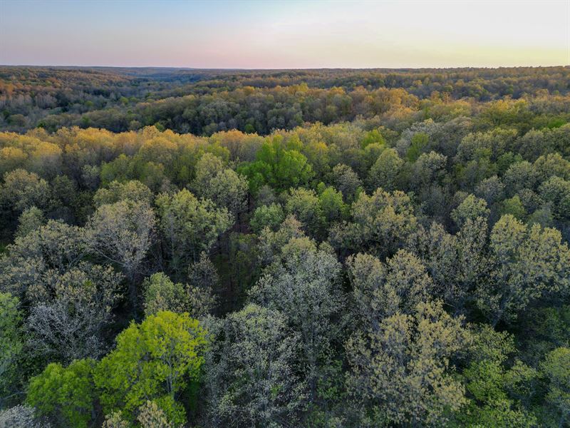 Timber Hideaway : Rocky Comfort : McDonald County : Missouri