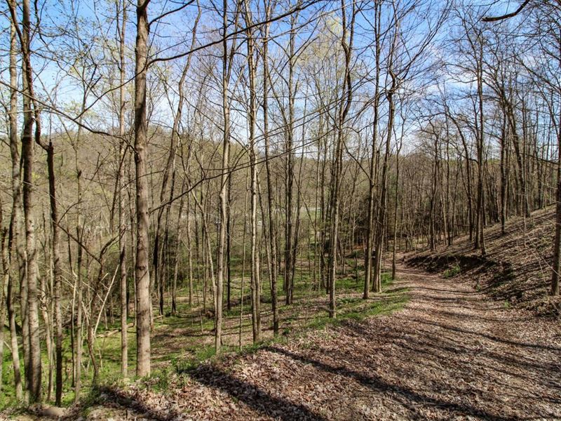 Detroit Lane, 20 Acres, Noble Cou : Cumberland : Noble County : Ohio