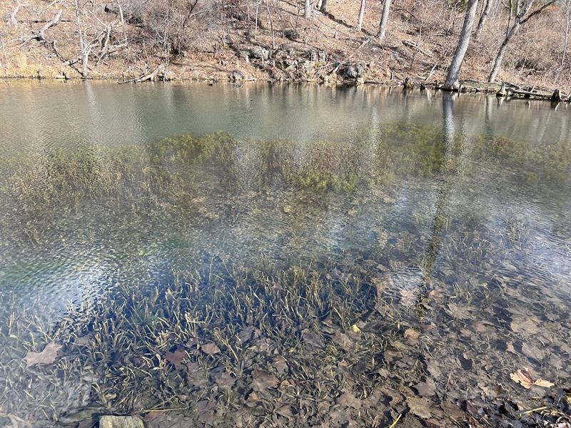 Land with Spring Fed Creek & Lake : Mill Spring : Wayne County : Missouri