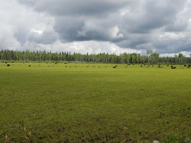Vanderhoof Recreational Investment : Canada