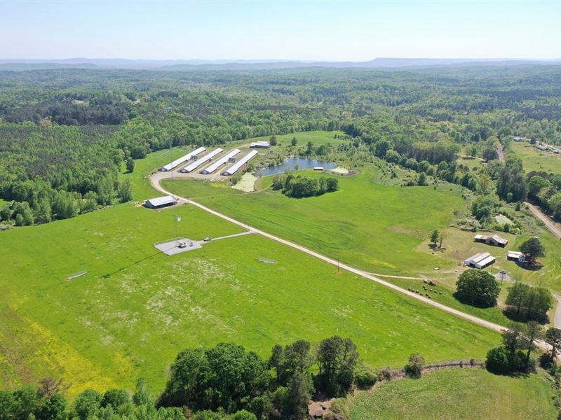 4 House Broiler & Hay Farm : Boaz : Etowah County : Alabama
