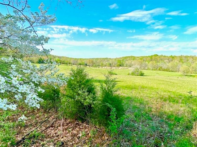 12+ Acres at Rough River Lake, Farm Auction in Kentucky, 348189 FARMFLIP
