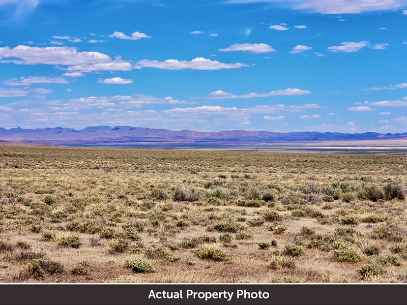 Agricultural Land, Crescent Valley : Battle Mountain : Lander County : Nevada