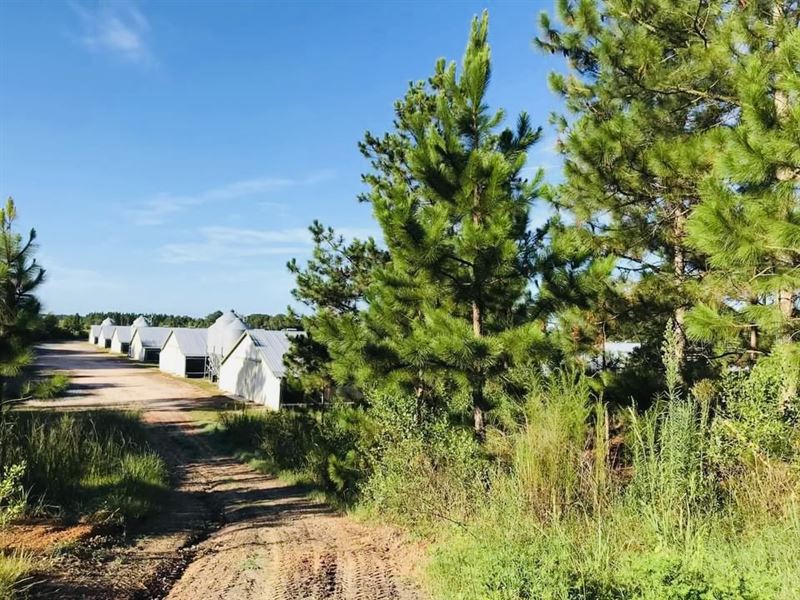 6 House Poultry Farm for Sale : Cordele : Dooly County : Georgia